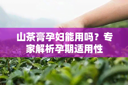 山茶膏孕妇能用吗？专家解析孕期适用性