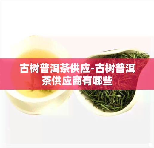 古树普洱茶供应-古树普洱茶供应商有哪些