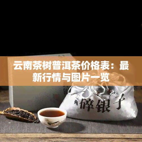 云南茶树普洱茶价格表：最新行情与图片一览