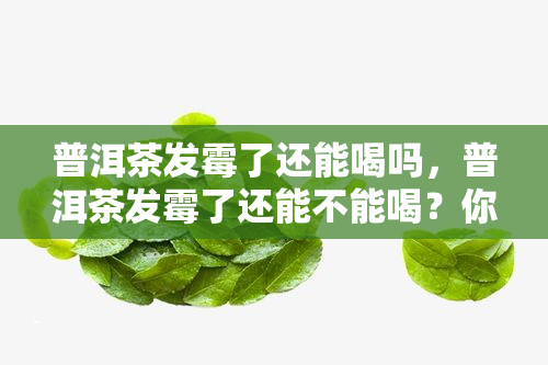 普洱茶发霉了还能喝吗，普洱茶发霉了还能不能喝？你需要知道的事情