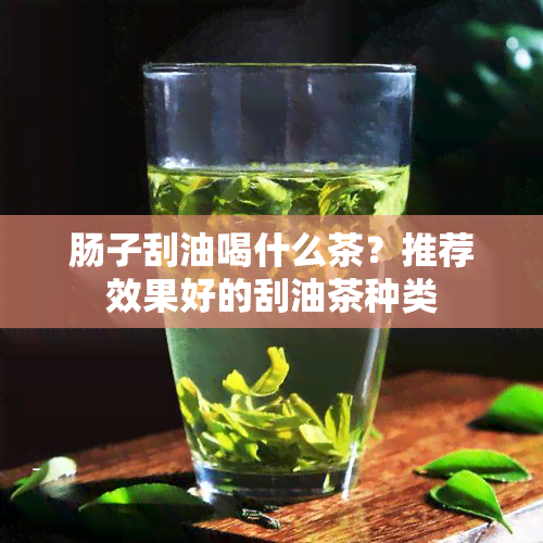 肠子刮油喝什么茶？推荐效果好的刮油茶种类