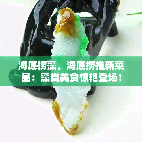 海底捞藻，海底捞推新菜品：藻类美食惊艳登场！