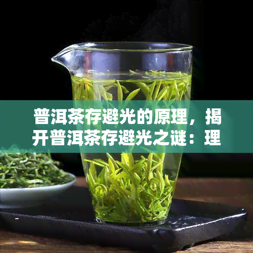 普洱茶存避光的原理，揭开普洱茶存避光之谜：理解其背后的科学原理