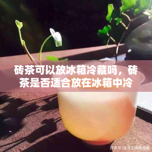 砖茶可以放冰箱冷藏吗，砖茶是否适合放在冰箱中冷藏？