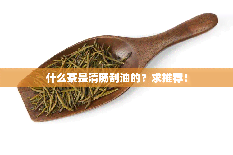 什么茶是清肠刮油的？求推荐！