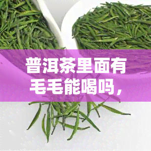 普洱茶里面有毛毛能喝吗，茶叶中出现毛毛是否影响饮用？——普洱茶的另类品质考察