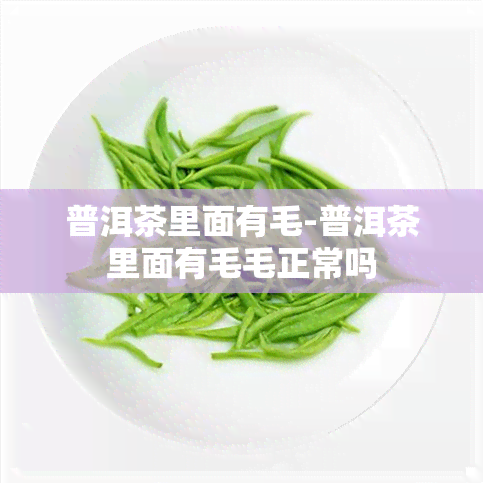 普洱茶里面有毛-普洱茶里面有毛毛正常吗