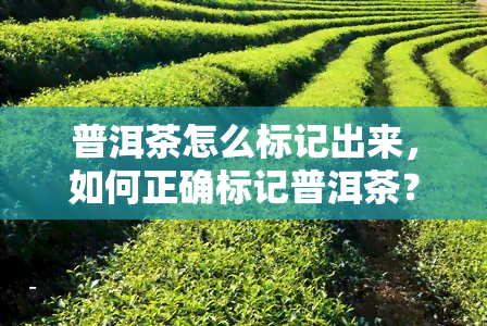 普洱茶怎么标记出来，如何正确标记普洱茶？关键步骤大揭秘！