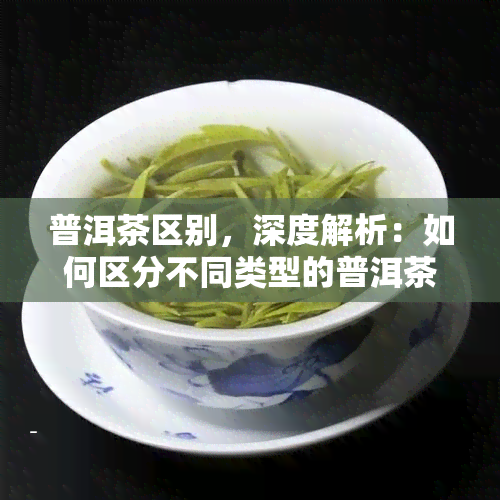 普洱茶区别，深度解析：如何区分不同类型的普洱茶？