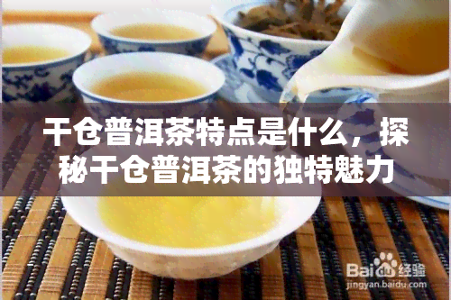 干仓普洱茶特点是什么，探秘干仓普洱茶的独特魅力：你必须知道的特点