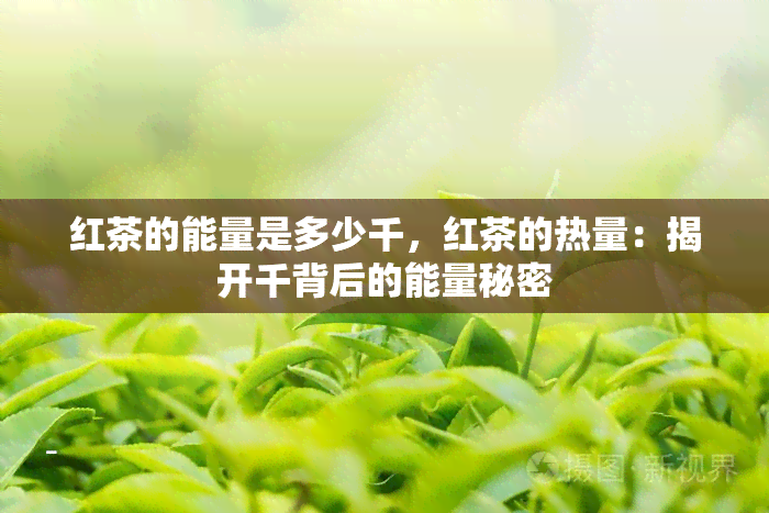 红茶的能量是多少千，红茶的热量：揭开千背后的能量秘密