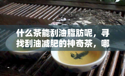 什么茶能刮油脂肪呢，寻找刮油减肥的神奇茶，哪种效果？