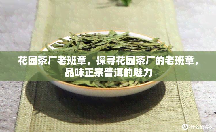 花园茶厂老班章，探寻花园茶厂的老班章，品味正宗普洱的魅力