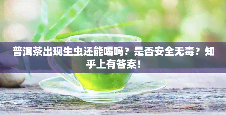 普洱茶出现生虫还能喝吗？是否安全无？知乎上有答案！