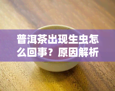 普洱茶出现生虫怎么回事？原因解析