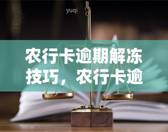 农行卡逾期解冻技巧，农行卡逾期后如何解冻？技巧大揭秘！