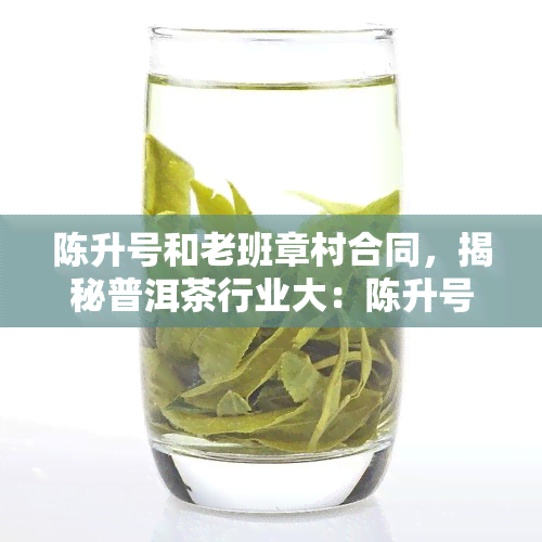 陈升号和老班章村合同，揭秘普洱茶行业大：陈升号与老班章村成功签订合作协议