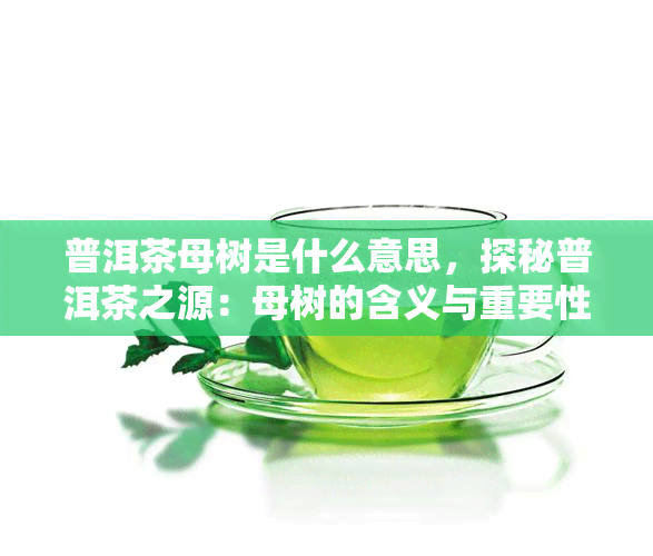 普洱茶母树是什么意思，探秘普洱茶之源：母树的含义与重要性