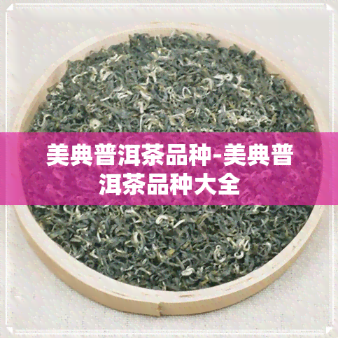 美典普洱茶品种-美典普洱茶品种大全