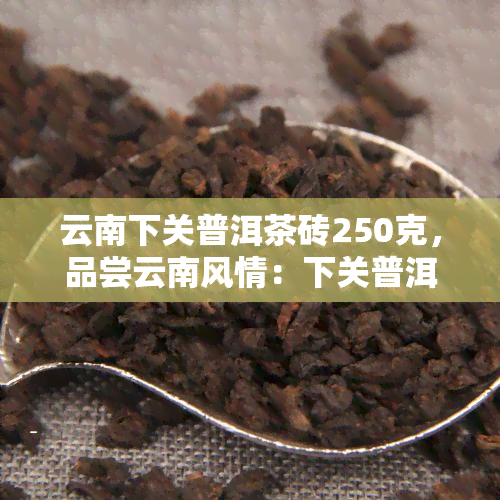 云南下关普洱茶砖250克，品尝云南风情：下关普洱茶砖250克，醇厚口感等你来体验！