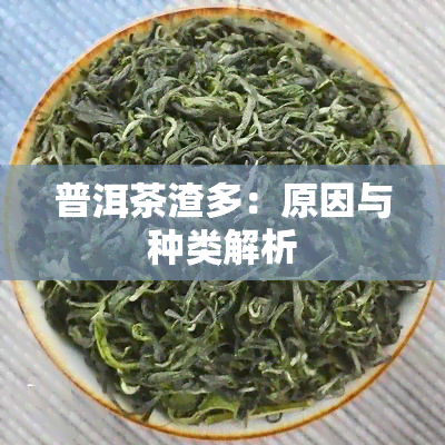 普洱茶渣多：原因与种类解析