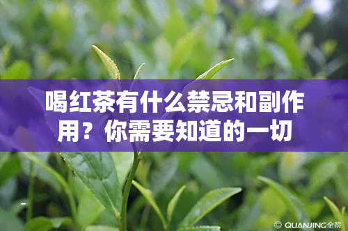 喝红茶有什么禁忌和副作用？你需要知道的一切