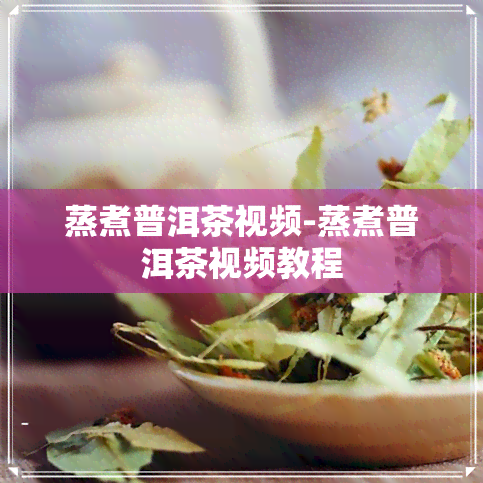 蒸煮普洱茶视频-蒸煮普洱茶视频教程