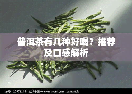 普洱茶有几种好喝？推荐及口感解析