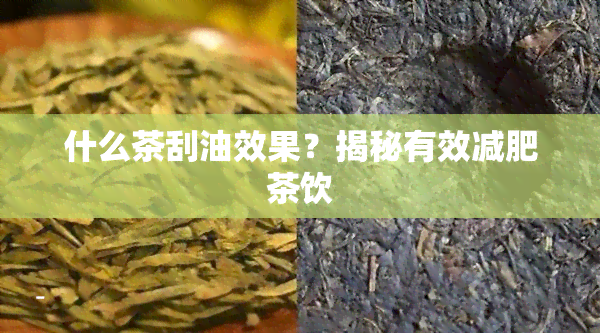 什么茶刮油效果？揭秘有效减肥茶饮