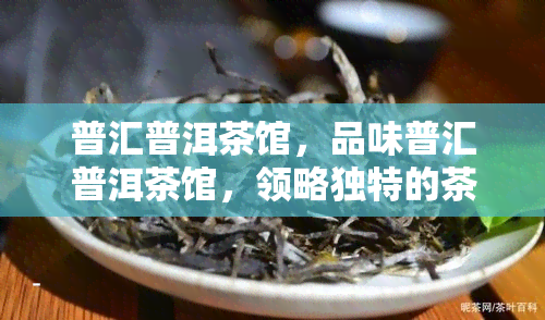 普汇普洱茶馆，品味普汇普洱茶馆，领略独特的茶香文化