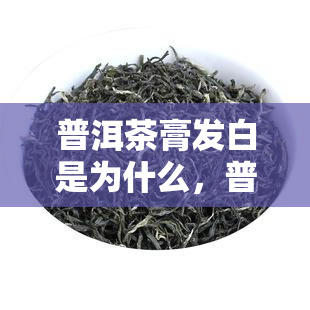 普洱茶膏发白是为什么，普洱茶膏为何会发白？原因解析