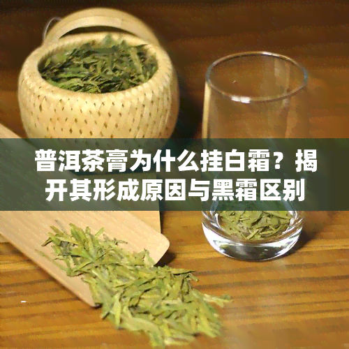 普洱茶膏为什么挂白霜？揭开其形成原因与黑霜区别