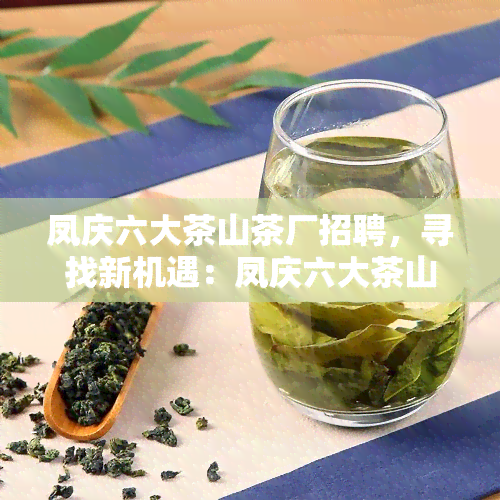 凤庆六大茶山茶厂招聘，寻找新机遇：凤庆六大茶山茶厂诚聘英才