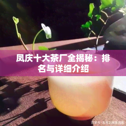 凤庆十大茶厂全揭秘：排名与详细介绍