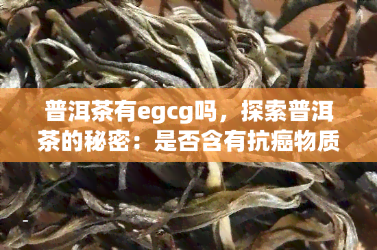 普洱茶有egcg吗，探索普洱茶的秘密：是否含有抗癌物质EGCG？