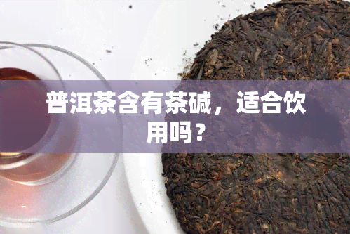 普洱茶含有茶碱，适合饮用吗？