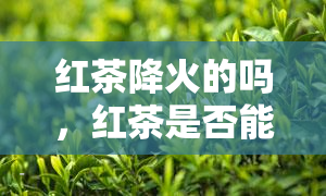 红茶降火的吗，红茶是否能降火？探讨其功效与科学依据