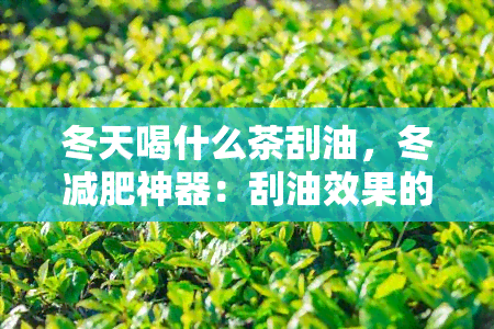 冬天喝什么茶刮油，冬减肥神器：刮油效果的茶叶推荐