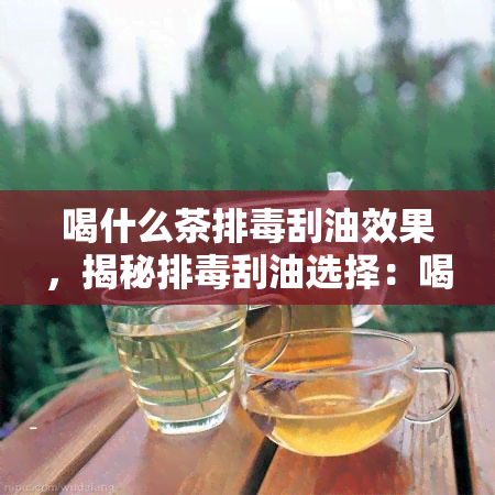 喝什么茶排刮油效果，揭秘排刮油选择：喝什么茶？