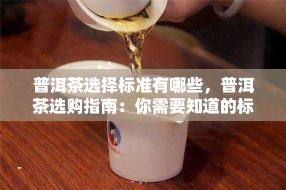 普洱茶选择标准有哪些，普洱茶选购指南：你需要知道的标准与技巧