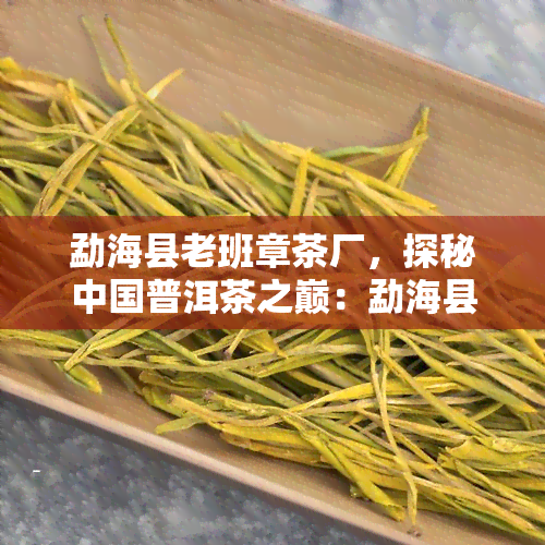 勐海县老班章茶厂，探秘中国普洱茶之巅：勐海县老班章茶厂