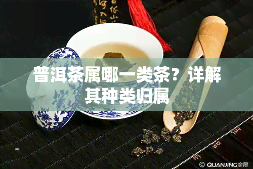 普洱茶属哪一类茶？详解其种类归属