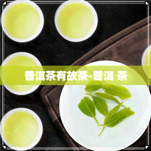 普洱茶有故茶-普洱 茶