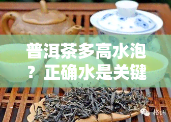 普洱茶多高水泡？正确水是关键！