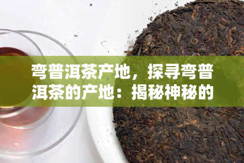 弯普洱茶产地，探寻弯普洱茶的产地：揭秘神秘的茶叶世界