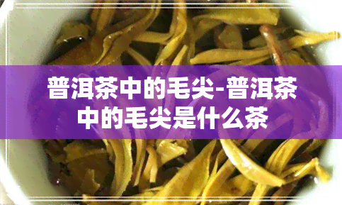 普洱茶中的毛尖-普洱茶中的毛尖是什么茶