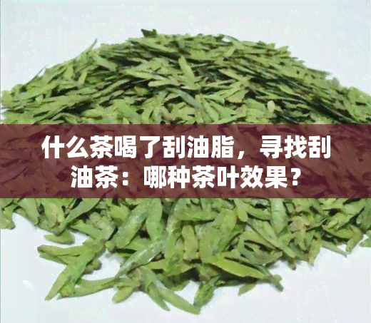 什么茶喝了刮油脂，寻找刮油茶：哪种茶叶效果？