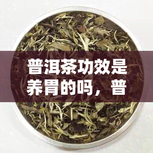 普洱茶功效是养胃的吗，普洱茶的功效：真的能养胃吗？