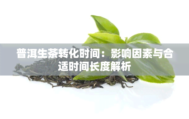 普洱生茶转化时间：影响因素与合适时间长度解析