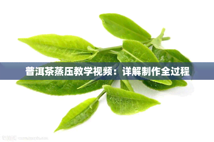 普洱茶蒸压教学视频：详解制作全过程